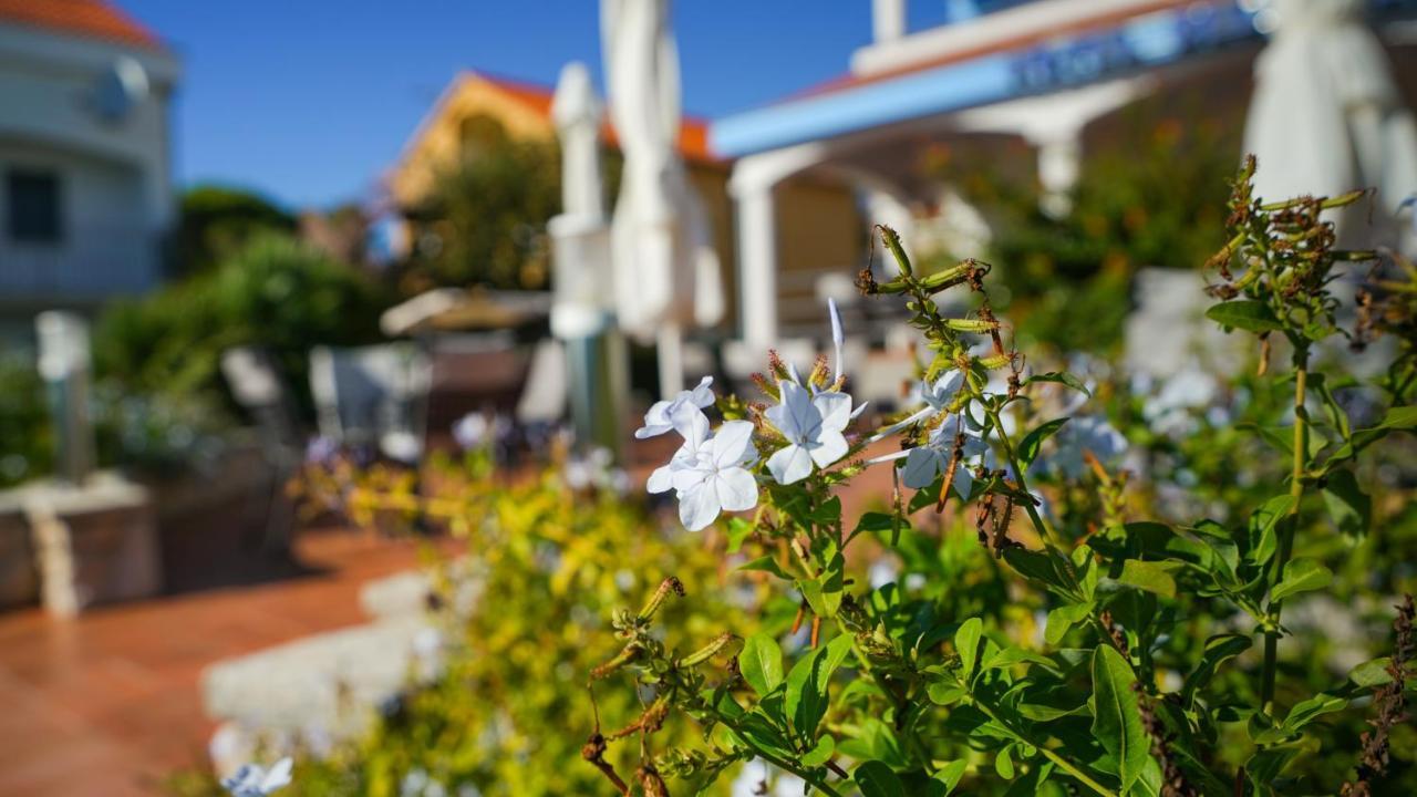 Hotel Belvedere Sukošan Exteriér fotografie